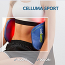 Cellule
